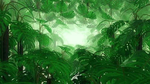 Animated Tropical Jungle Foliage Background
