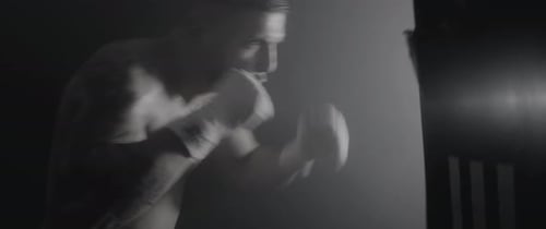 Boxer