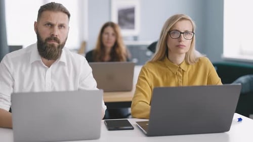 Focused Adults Working in a Modern Office