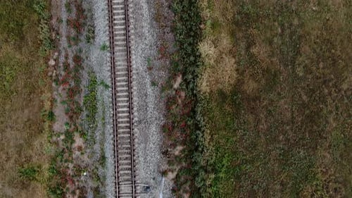 Flying Over a Railroad Track on an Embankment in a Field of Wild Flowers