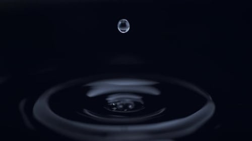 Water Droplet Impact Creating Ripples on Dark Surface