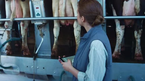 Travailleur laitier vérifiant les machines de traite en gros plan