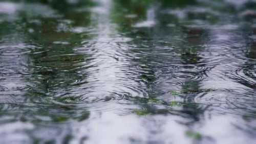 Raindrops Create Ripples in Serene Puddle