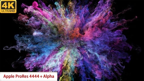 Dynamic Colorful Powder Explosion Reveal