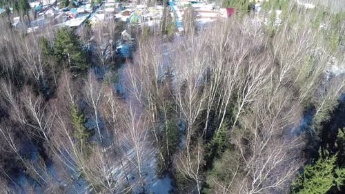 Aerial winter view of houses in village near the forest