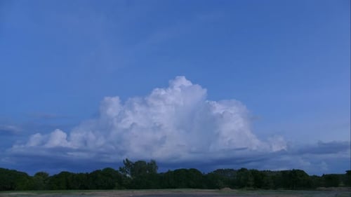 Zeitraffer eines Reisfeldes mit Wolkensonnenuntergang