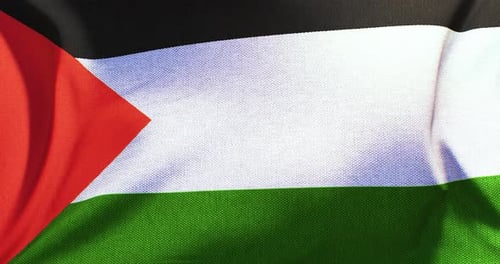 Waving Palestine Flag Loop Animation