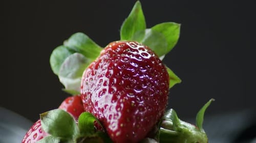 Strawberry Fruit in Black Background