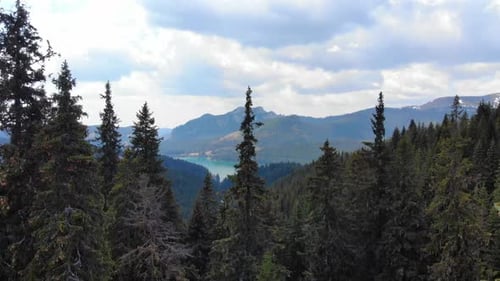 Mountain lake with turquoise water and green trees. Mountains, forest and lake.