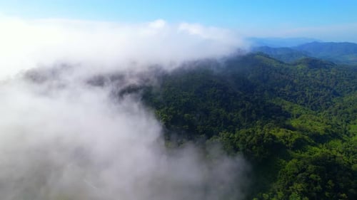 An aerial view from a drone flying over the many fogs in the mountains