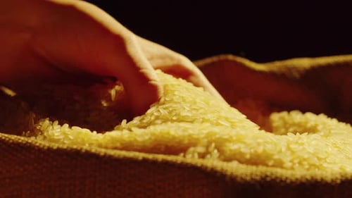 Rice Texture Closeup
