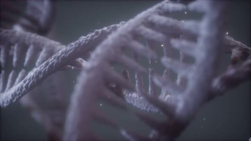 Double Helical Structure of Dna Strand Close-up Animation