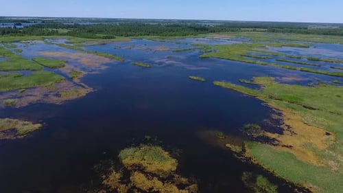 Drone Shot of Big Lake in Summer