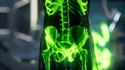 Human Skeleton Bones Scan Exam in Lab