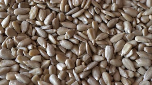 Rotating Sunflower Seeds