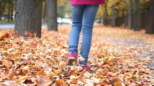 Back View Little Girl Walking with Rainbow Umbrella Autumn Fallen Golden Orange Maple Leaves in Park