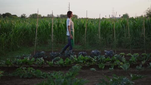 Woman working in the vegetable garden