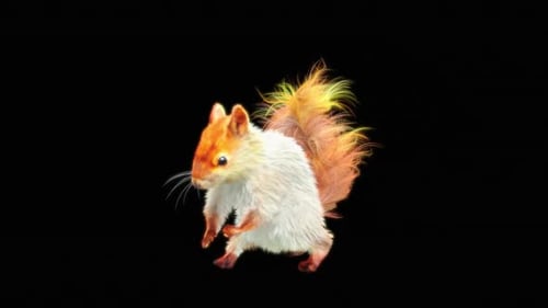 Animated Dancing Squirrel with Vibrant Glowing Fur