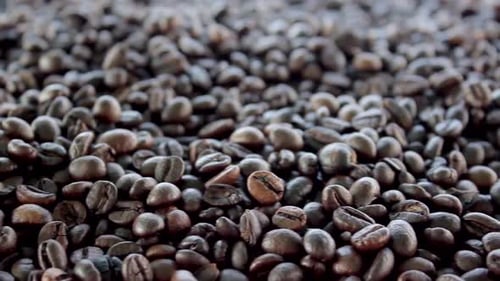 Coffee beans close up shot. Black dark coffee beans. Arabica roasted seed food. Brazilian ingredient
