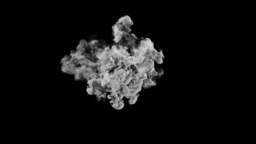 Realistic White Smoke Burst Alpha Channel Element