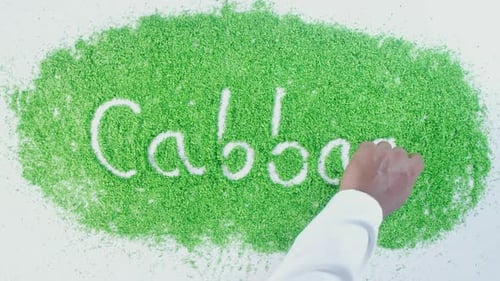 Green Hand Writing Cabbage