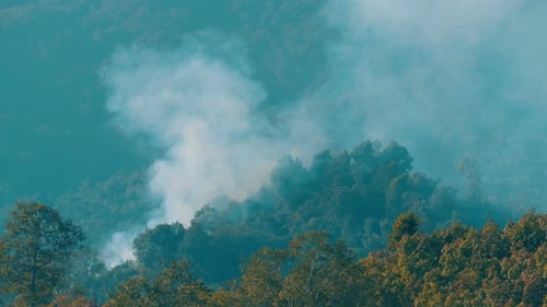 Wildfire