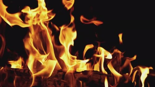 Burning Fire on Black Background