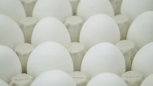 White Chicken Eggs in Turn Side View