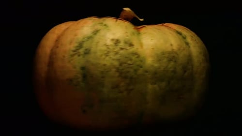 Dangerous pumpkin for halloween
