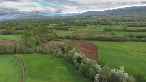 Borders of Trees and Green Fields in Plain