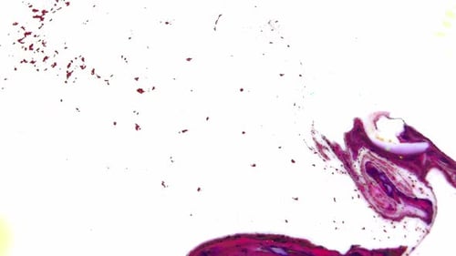 Bubbling Spreading Colors