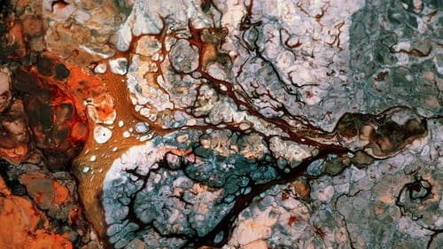 Abstract Colors Forming Vein-Like Pattern Macro Shot