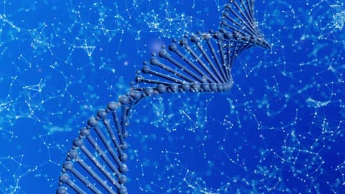 Animated DNA Double Helix Rotating with Digital Plexus Background