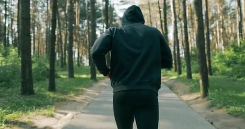 Slow Motion Shot of Man Running Through Pine Forest on Path in Woods. Runner Training Fitness