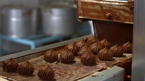 Chocolate Candies Moving Along Conveyor Belt in Factory