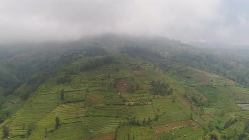 Lush Green Terraced Hillsides Aerial View
