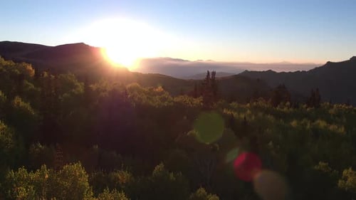 Aerial view over tree tops as the sun is setting