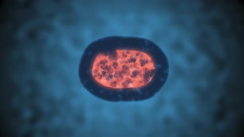 Microscopic Cell Division Animation for Biology and Medical Science