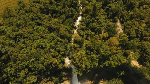 Majestic Waterfall Cascading Through Lush Tropical Forest
