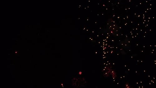 Colorful Fireworks Exploding in the Night Sky