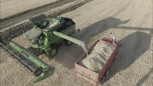 Harvester Loads Grain into Truck in Rural Field