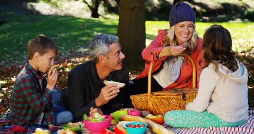 Family Having a Picnic Together in the Forest