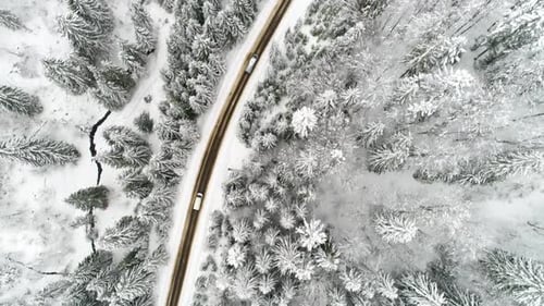 Car Driving Along the Forest Road in Winter