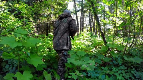 Male hunter hunting in the forest 4k