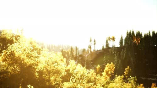 Coucher de soleil lumineux dans les montagnes avec la forêt