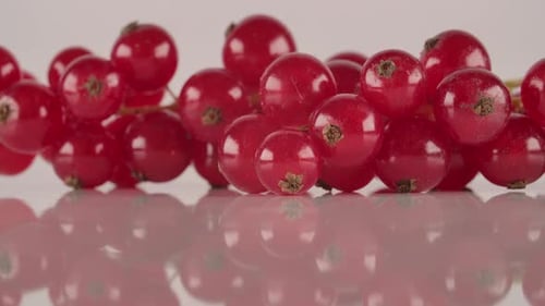 Close Up of Fresh, Juicy Red Currants