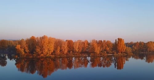 Aerial View of Island Trees in Autumn Light