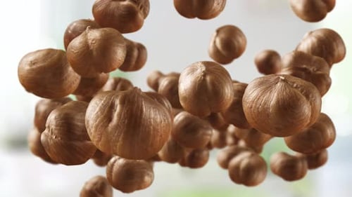Realistic Falling Hazelnuts in Slow Motion