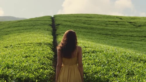 Woman Traveler in Front of Nature Background Tea Plantations Landscape in Sri Lanka