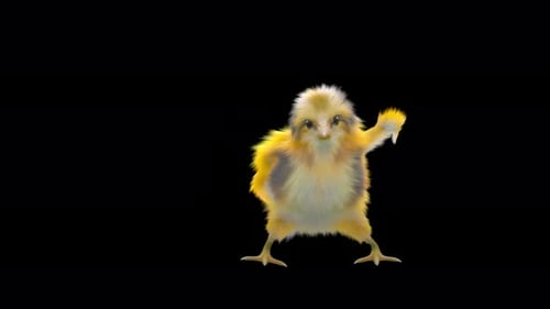 Cute Dancing Baby Chick Animation with Alpha Channel